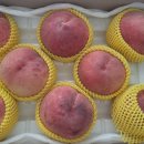 여주-0729 네이버블로그
