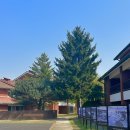 용산-이촌-185 이미지