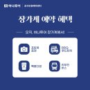드림온투어