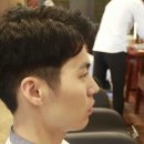 리움헤어퍼플