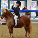 덕소 승마클럽 이미지