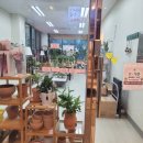 꽃식물갤러리