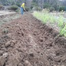 율리농장 이미지