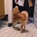 문현관앞 이미지