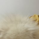 뚱땅뚱땅 이미지