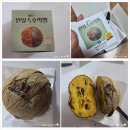 대구동평초등학교 | 대구 베이커리 맛집 생활의달인 연잎호박빵 소금빵 맛집 메종드빵