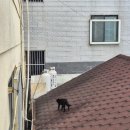 극J의 얼렁뚱땅 부산 여행 (광안리, 전포 중심)