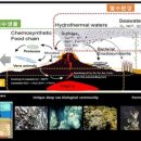 생명의 분출 이미지