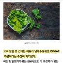 고수 이미지