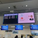 [고흥 녹동항→제주도] 배 여행 완벽 가이드 | 차량 선적부터 꿀팁까지