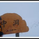 삼영목장 이미지