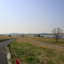 장흥숲길캠핑장 이미지