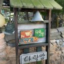 산골쉼터민박