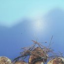 운기농장 이미지