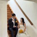 꽃보다예쁘개 | 담다서울ㅣ야외 웨딩 스냅 촬영 강력 추천 후기(with 아오이서울, 마요스튜디오)