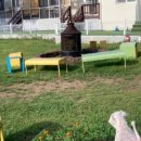 개덩이네 하우스 이미지