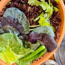 화진숯불구이