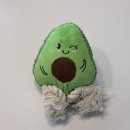 견식파티 이미지