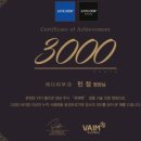 더블스킨 이미지