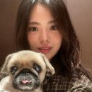 무지개다리 이미지