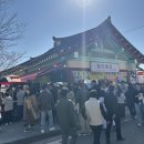상대포 | 영암 왕인박사유적지 벚꽃보러 다녀왔어요(4/5 개화 상황)