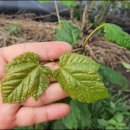 경화농장 이미지