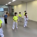 용인대 슬기태권도장 이미지