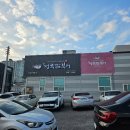 포항 양덕 복어맛집 &#34;청록담복어&#34; 후기