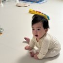 평촌부산민지네횟집 | 3월 보름일기下(꽃놀이, 생일, 부산여행, 형부떡볶이, 5개월아기와 함께하는 일상 모음집)