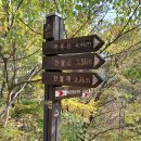 전지적 등린이 시점의 피, 땀 눈물나는 나혼산(山)간월재 후기(feat. 울주오딧세이)
