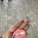 카페노들