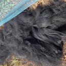 용담농장 이미지