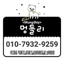 멍들리 이미지