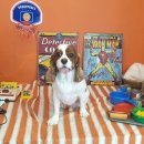 위드티쳐 이미지