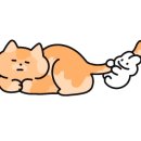 홍가네우렁쌈밥 이미지