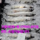 임여사수산 이미지