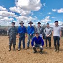 유라이크 이미지