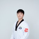 늘품태권도 이미지