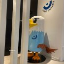 판교연세독수리안과의원 이미지