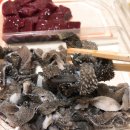 육회말투아웃 이미지