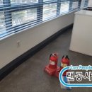 더소풍Ⅰ 이미지