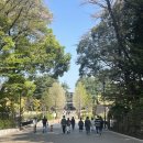 도쿄 해리포터 스튜디오 후기