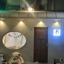 부산 서면 전포스시 일식 찐 맛집 내돈내산 추천 연어의 진심 연심 후기