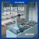 다건시스템주 | 실전 창업 자금 분배 전략