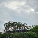 K리그2 직관후기, 수원 vs 인천