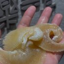 하루여백 | 일상여백 x 요수정 팝업 후기.