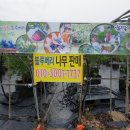 남평체험장 이미지
