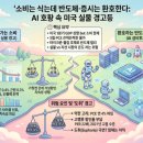 비스마트 | 소비는 식는데 반도체·증시는 환호한다: AI 호황 속 미국 실물 경고등