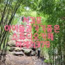 하례슈퍼