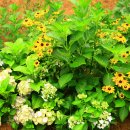 다원펜션 이미지